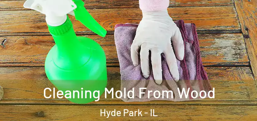  Cleaning Mold From Wood Hyde Park - IL