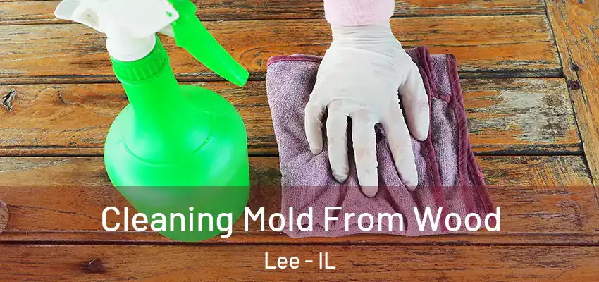  Cleaning Mold From Wood Lee - IL