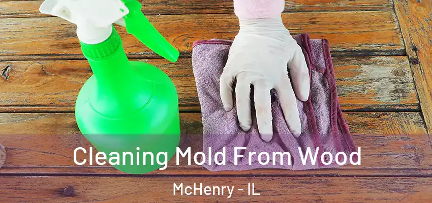 Cleaning Mold From Wood McHenry - IL