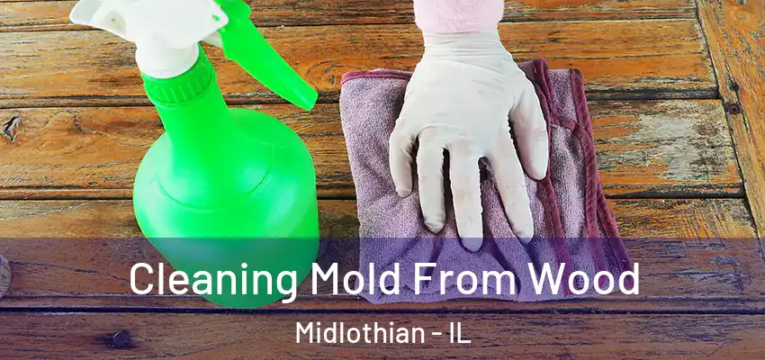  Cleaning Mold From Wood Midlothian - IL