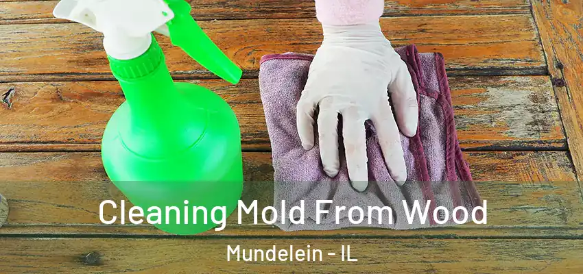  Cleaning Mold From Wood Mundelein - IL