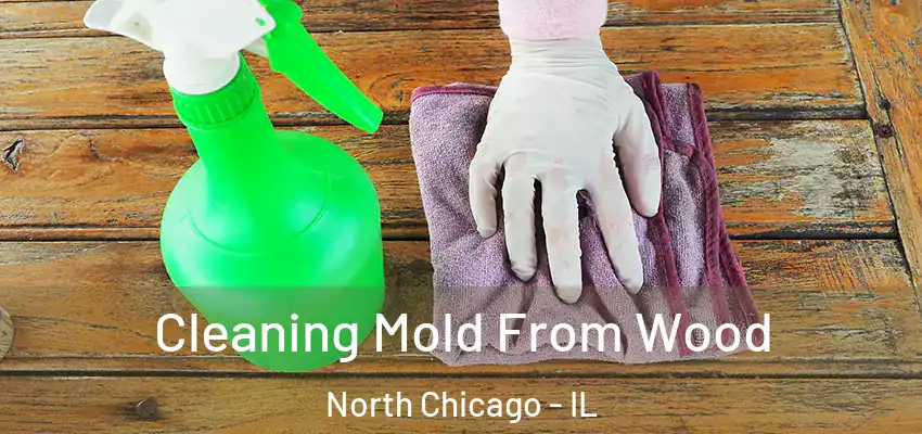  Cleaning Mold From Wood North Chicago - IL