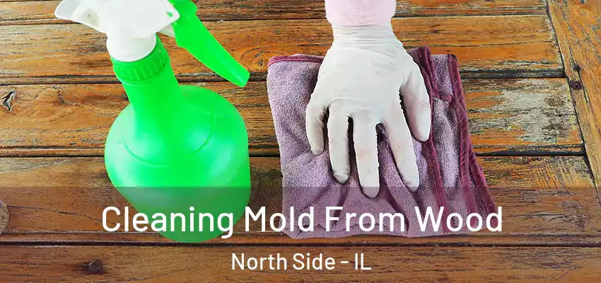  Cleaning Mold From Wood North Side - IL
