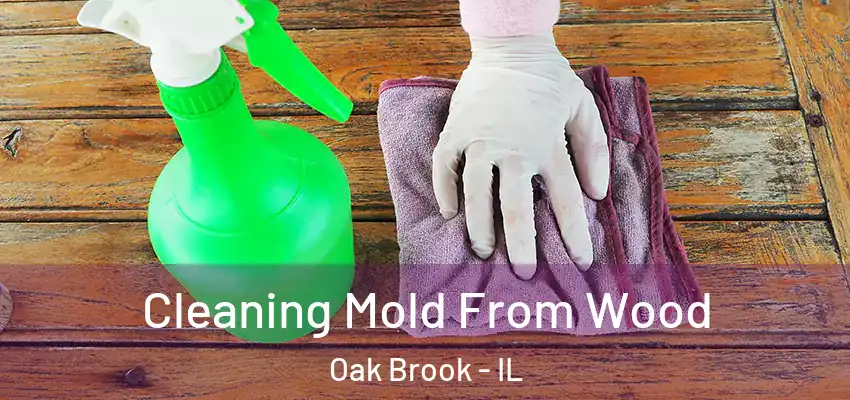  Cleaning Mold From Wood Oak Brook - IL