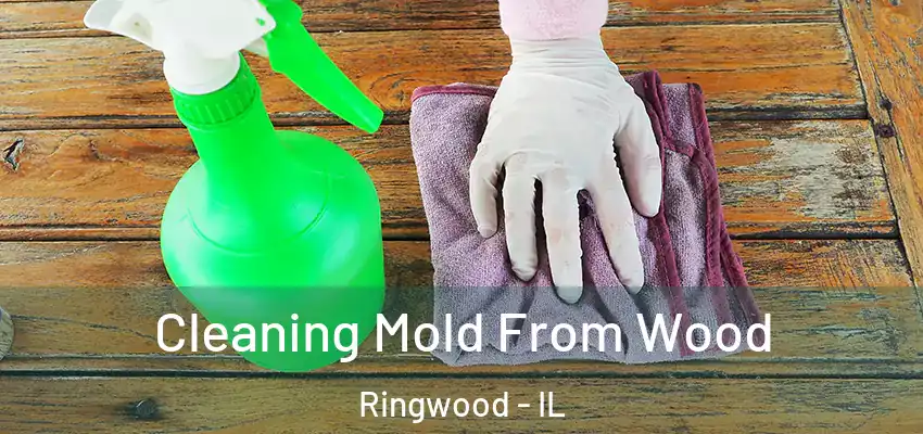  Cleaning Mold From Wood Ringwood - IL