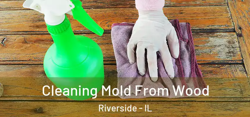  Cleaning Mold From Wood Riverside - IL