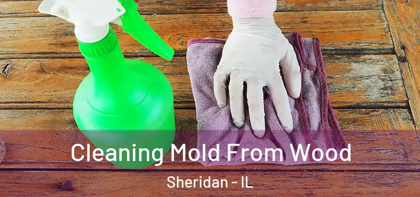  Cleaning Mold From Wood Sheridan - IL