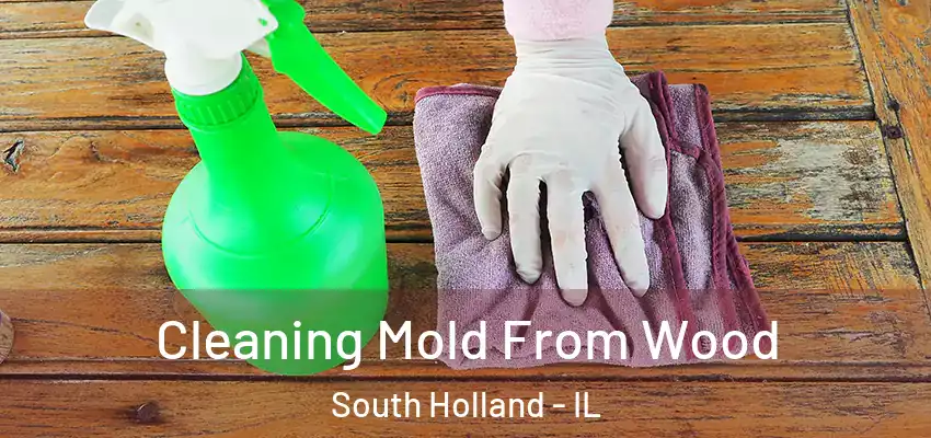  Cleaning Mold From Wood South Holland - IL
