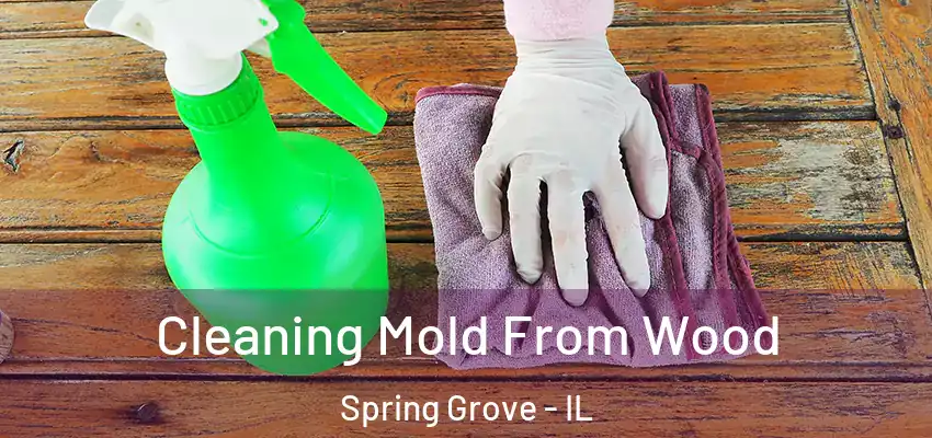  Cleaning Mold From Wood Spring Grove - IL