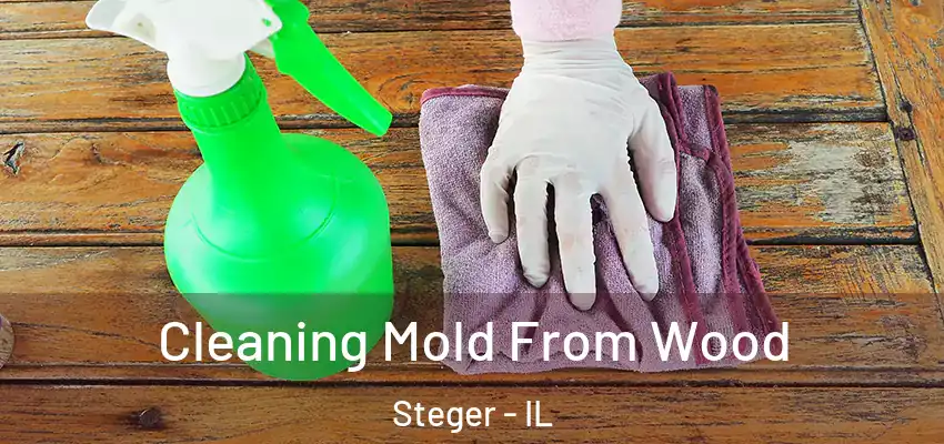  Cleaning Mold From Wood Steger - IL