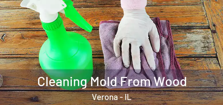  Cleaning Mold From Wood Verona - IL