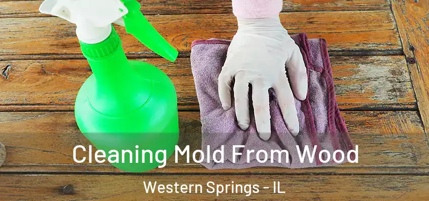  Cleaning Mold From Wood Western Springs - IL