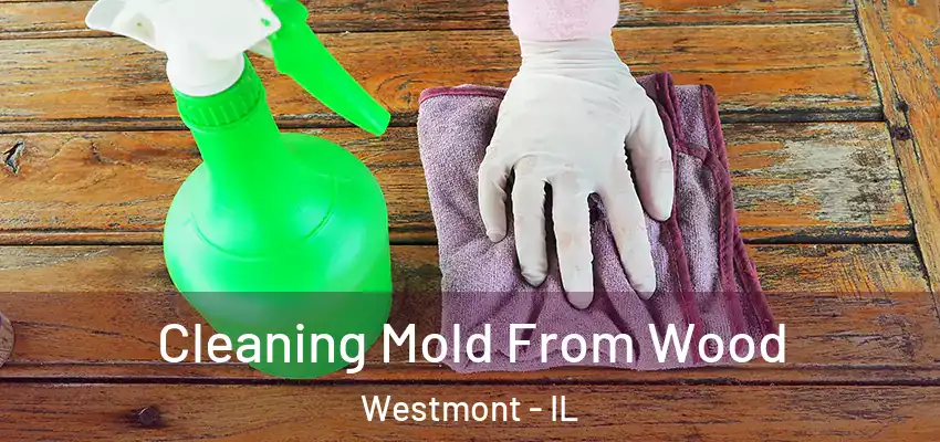  Cleaning Mold From Wood Westmont - IL