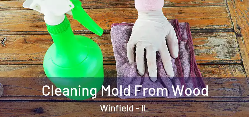  Cleaning Mold From Wood Winfield - IL