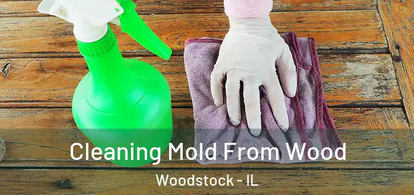 Cleaning Mold From Wood Woodstock - IL