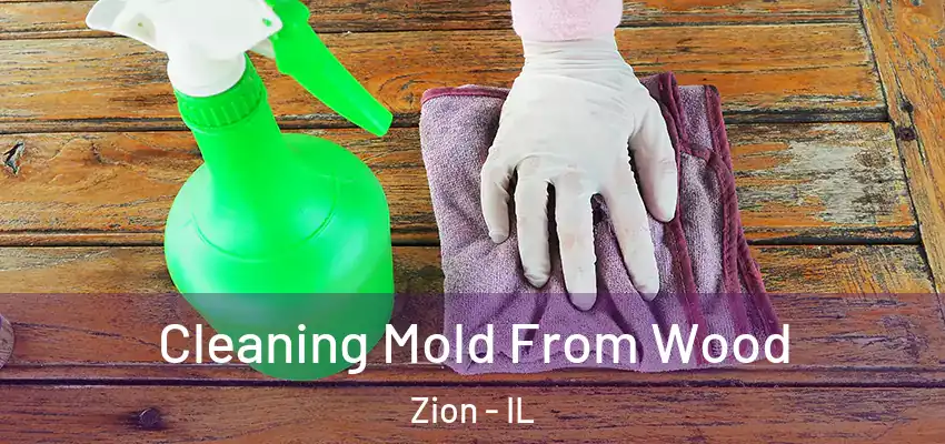  Cleaning Mold From Wood Zion - IL