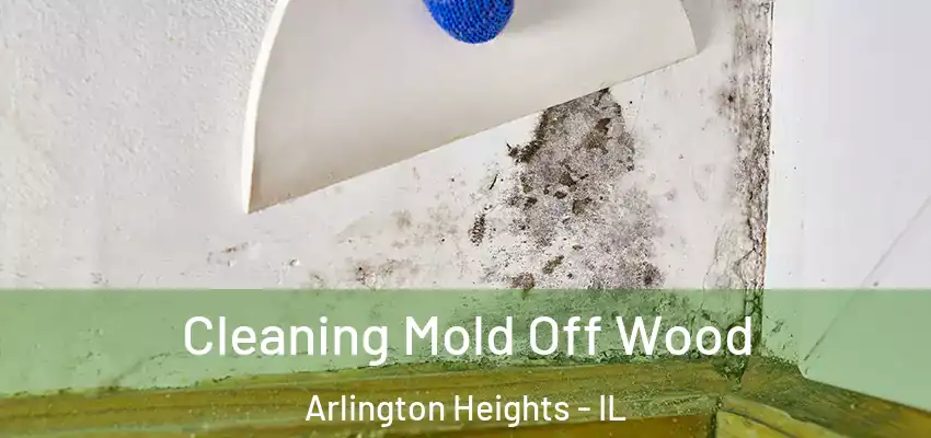 Cleaning Mold Off Wood Arlington Heights - IL