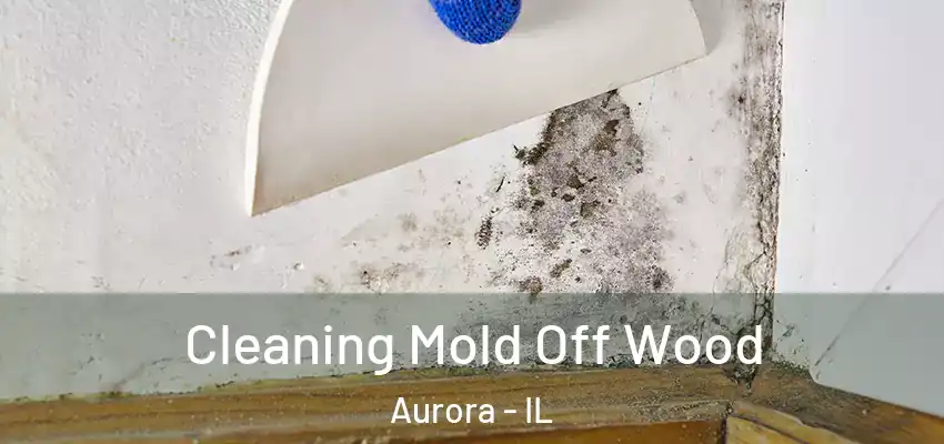  Cleaning Mold Off Wood Aurora - IL