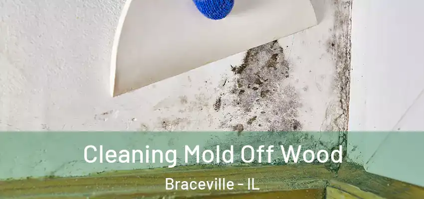 Cleaning Mold Off Wood Braceville - IL