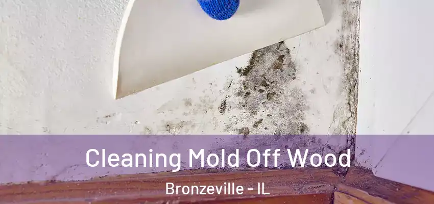  Cleaning Mold Off Wood Bronzeville - IL