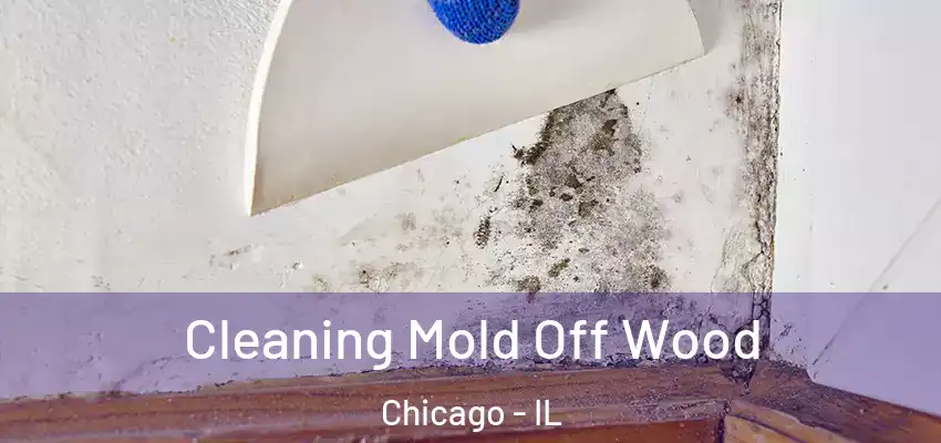  Cleaning Mold Off Wood Chicago - IL
