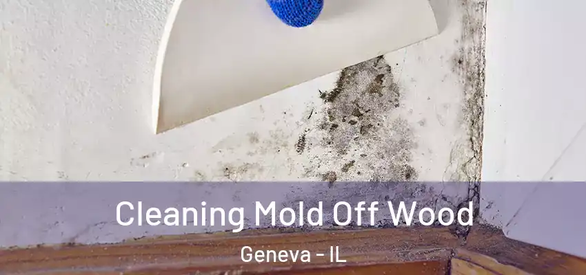 Cleaning Mold Off Wood Geneva - IL