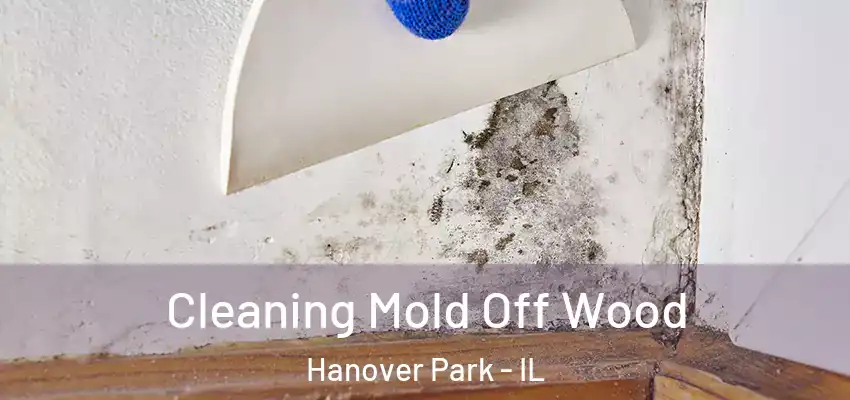  Cleaning Mold Off Wood Hanover Park - IL