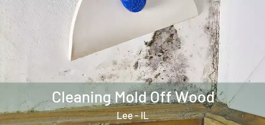 Cleaning Mold Off Wood Lee - IL