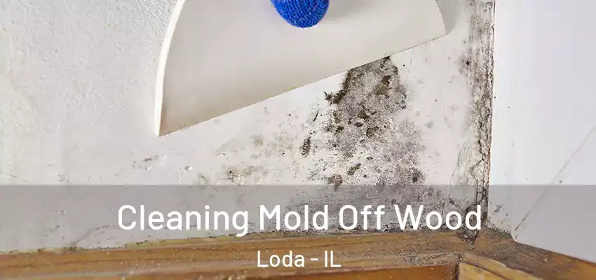  Cleaning Mold Off Wood Loda - IL