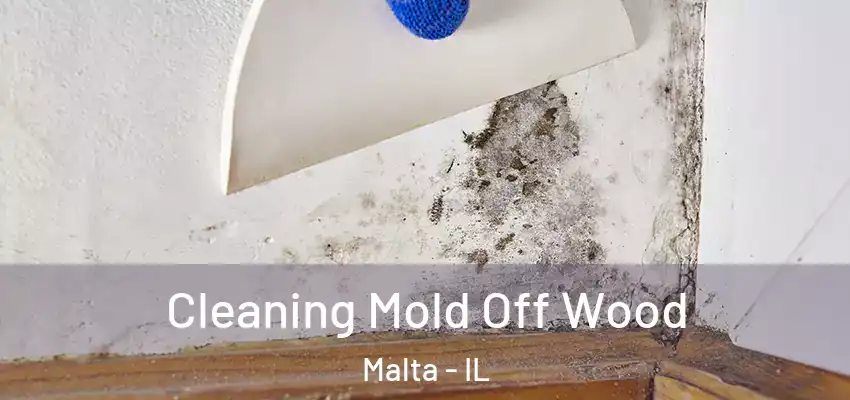  Cleaning Mold Off Wood Malta - IL