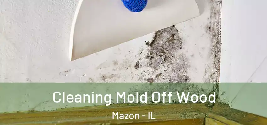  Cleaning Mold Off Wood Mazon - IL