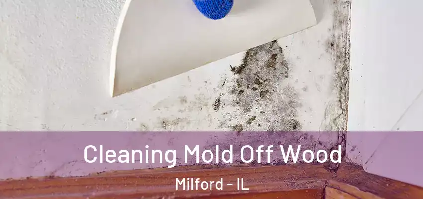  Cleaning Mold Off Wood Milford - IL