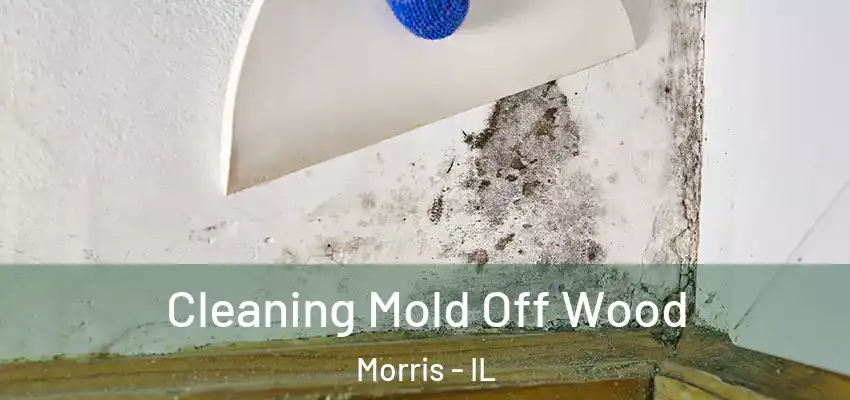  Cleaning Mold Off Wood Morris - IL