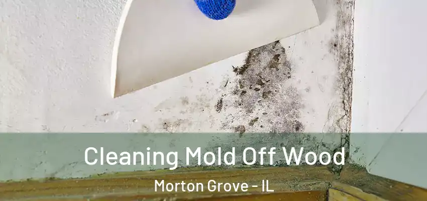  Cleaning Mold Off Wood Morton Grove - IL