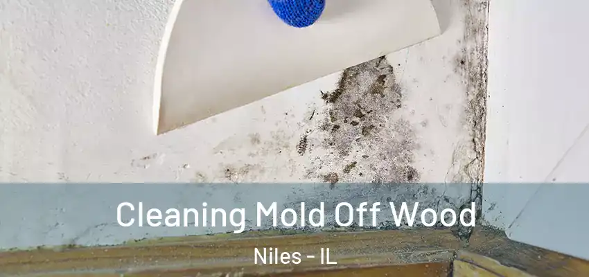  Cleaning Mold Off Wood Niles - IL
