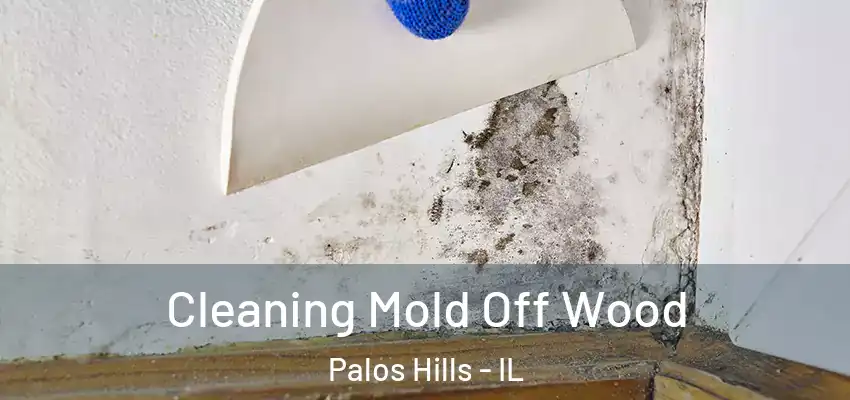  Cleaning Mold Off Wood Palos Hills - IL