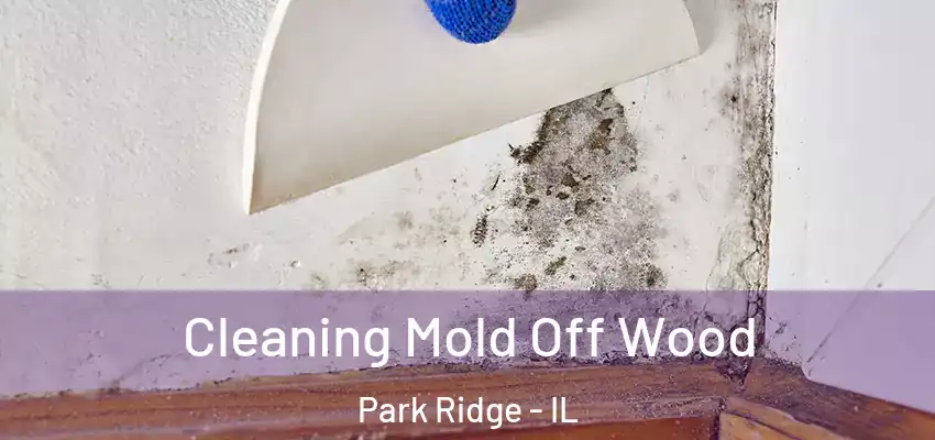  Cleaning Mold Off Wood Park Ridge - IL
