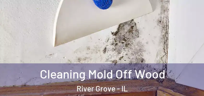  Cleaning Mold Off Wood River Grove - IL