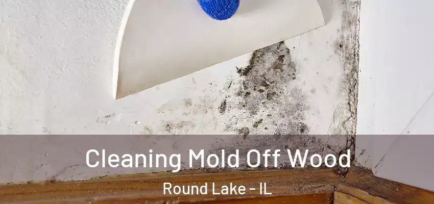  Cleaning Mold Off Wood Round Lake - IL