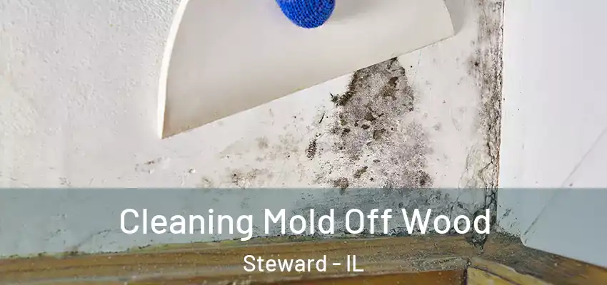 Cleaning Mold Off Wood Steward - IL