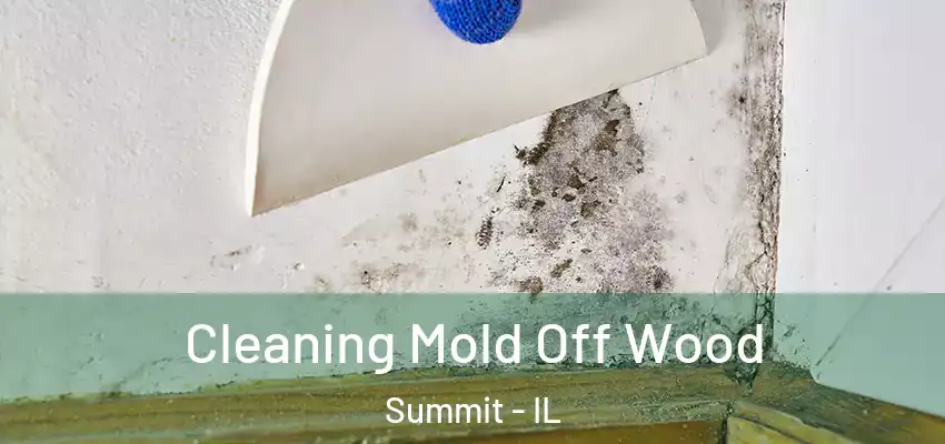  Cleaning Mold Off Wood Summit - IL