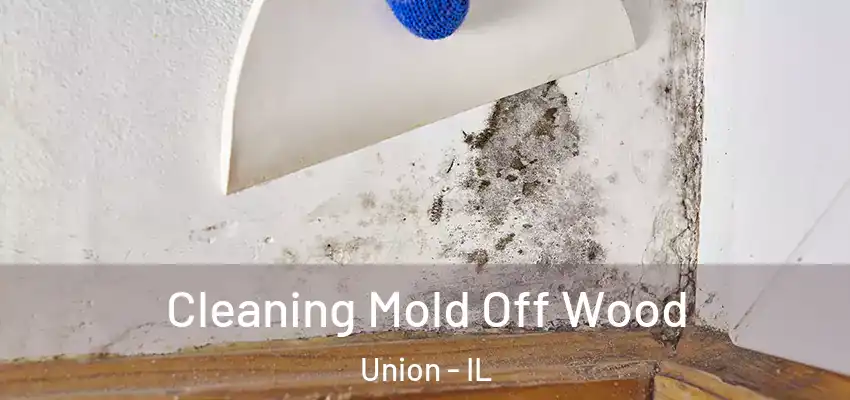 Cleaning Mold Off Wood Union - IL