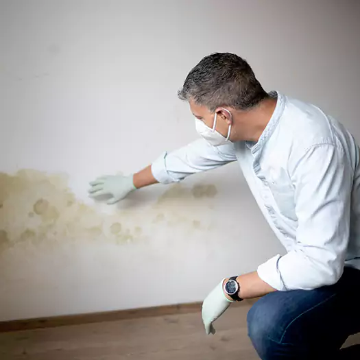 Trusted Mold Remediation and Removal Experts in Elgin, IL