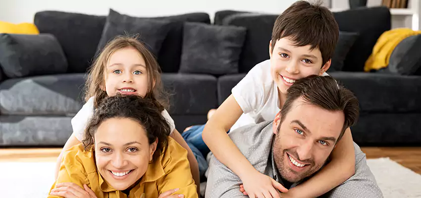 Mold Stain Remover for Wood in Elgin, IL