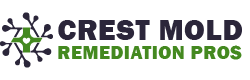 Crest Mold Remediation Pros
