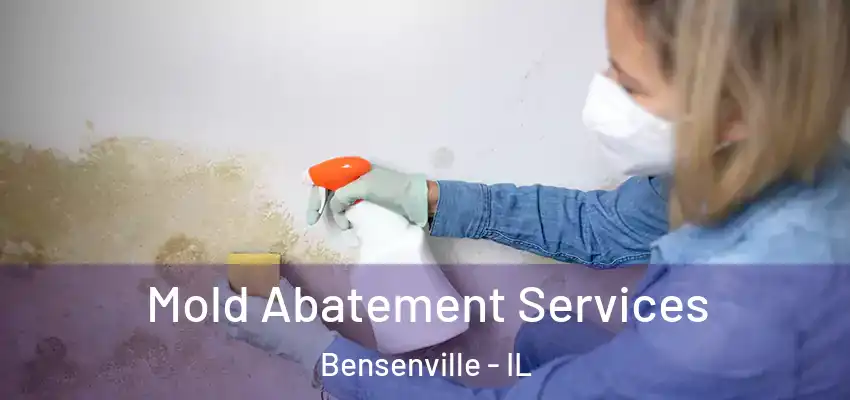 Mold Abatement Services Bensenville - IL