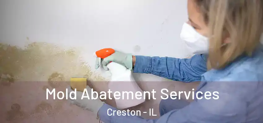  Mold Abatement Services Creston - IL