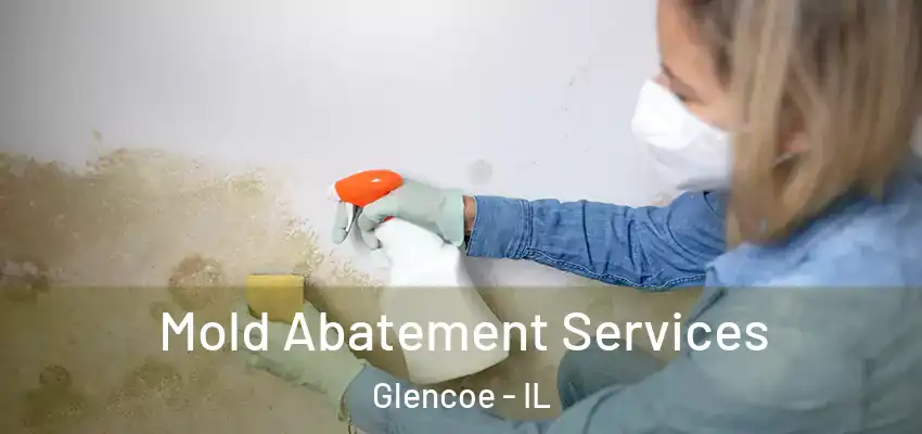  Mold Abatement Services Glencoe - IL