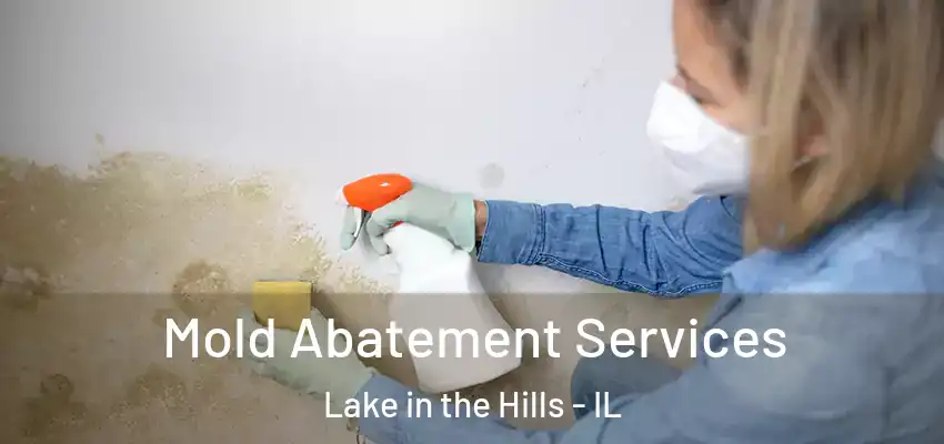 Mold Abatement Services Lake in the Hills - IL