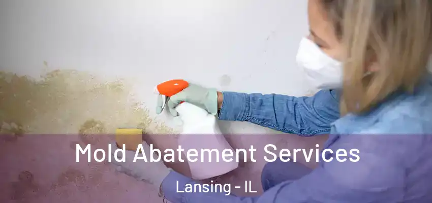  Mold Abatement Services Lansing - IL
